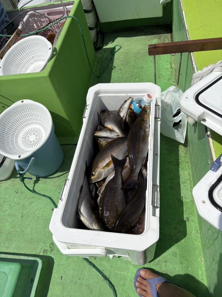 よしひさ丸｜午前イサキ五目船