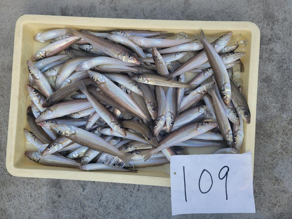 1778751610-5-6780-ck.jpg