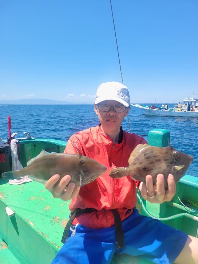1780119439-4-5481-ck.jpg