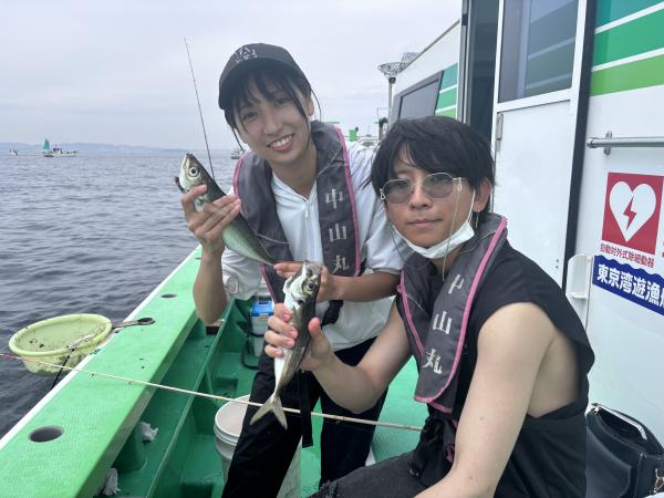 1780206206-2-2450-ck.jpeg
