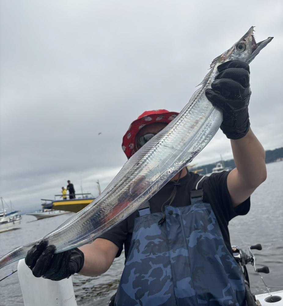 1782019556-1-2472-ck.jpeg