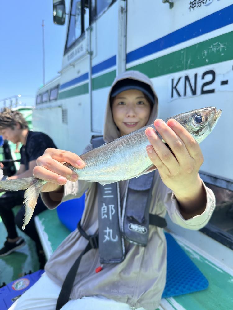 1783574801-3-6764-ck.jpeg