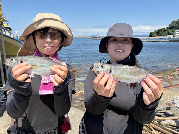 1783660322-1-6689-ck.jpeg
