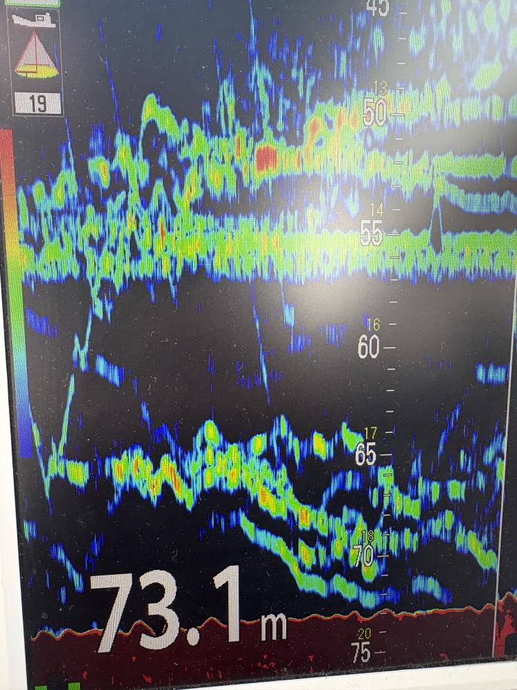 1784252205-1-1583.jpeg