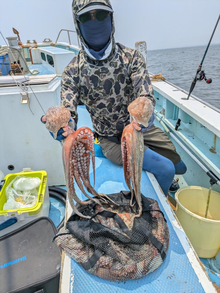 1784271005-1-7543-ck.jpg