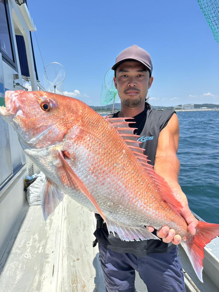 1784525094-1-9839-ck.jpeg