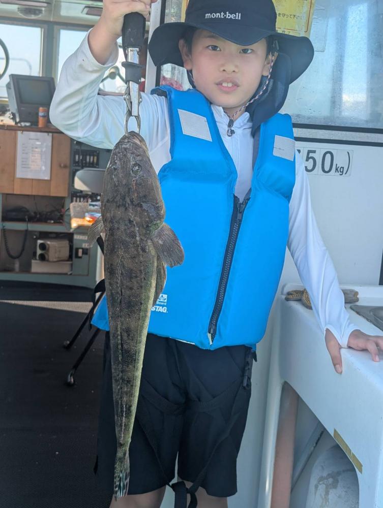 1784534210-1-8896-ck.jpg