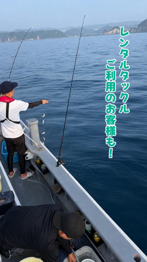 1785045292-4-3026-ck.jpeg