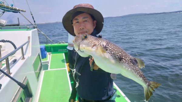 1785052011-6-4589-ck.jpeg