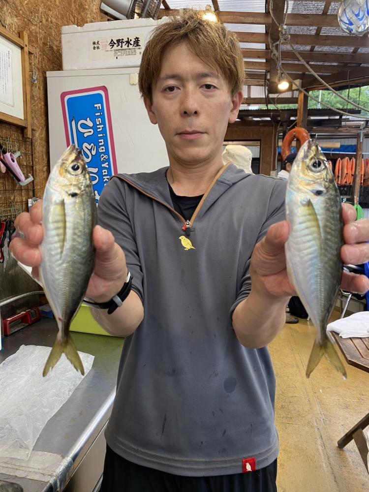 1785054248-3-9591-ck.jpeg