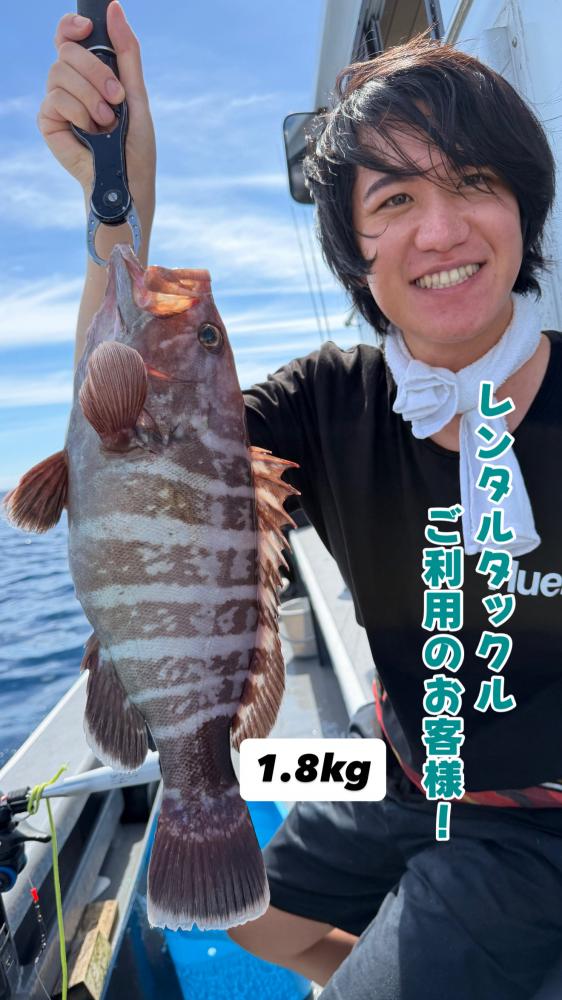 1786315767-5-7385-ck.jpeg
