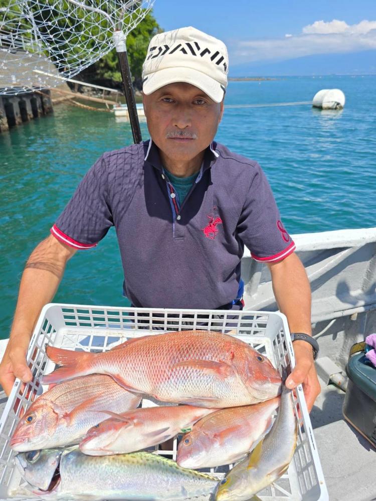 1786331009-3-3217.jpg