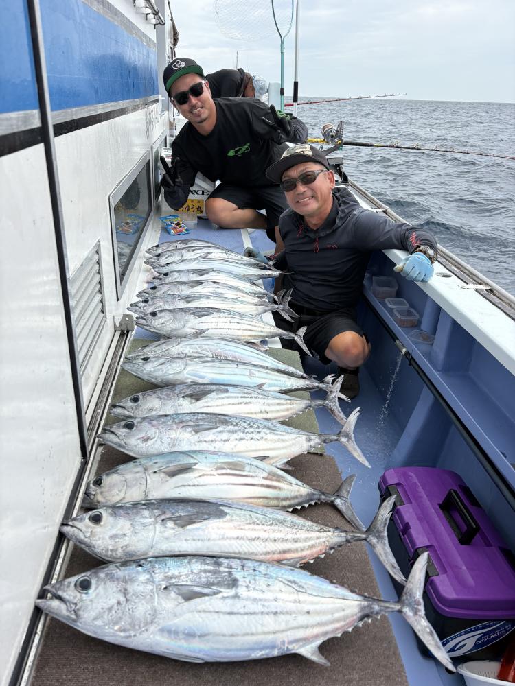 1786418674-1-6126-ck.jpeg