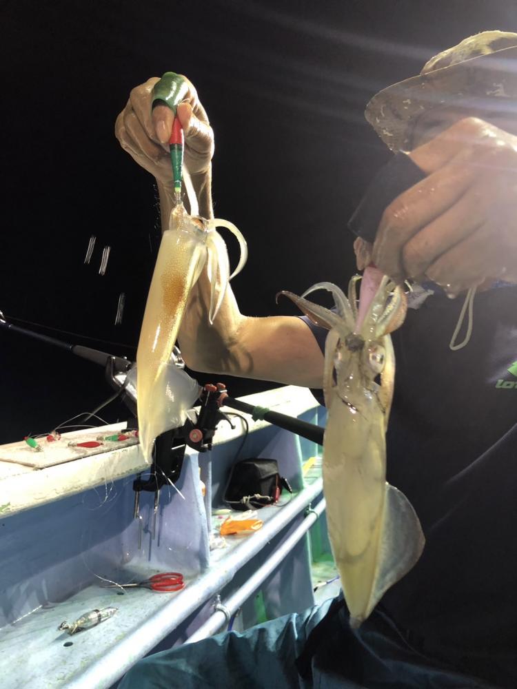 1787062426-2-1407-ck.jpeg