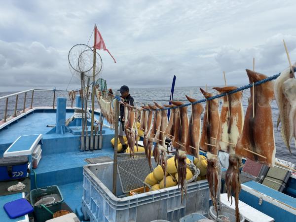 1787804650-1-6431-ck.jpeg