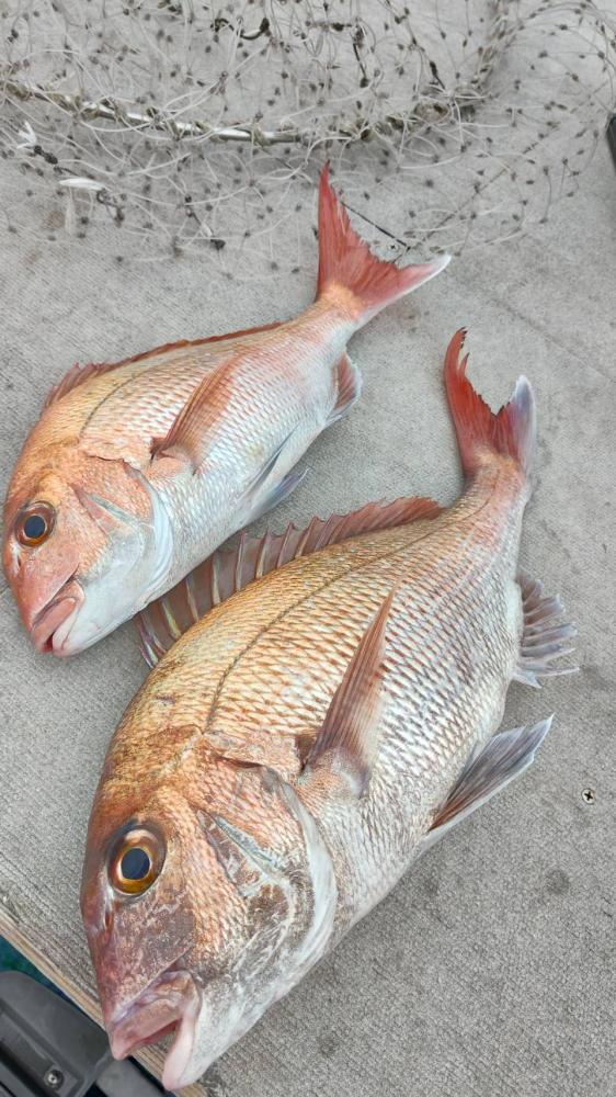 1788231789-3-1470-ck.jpg