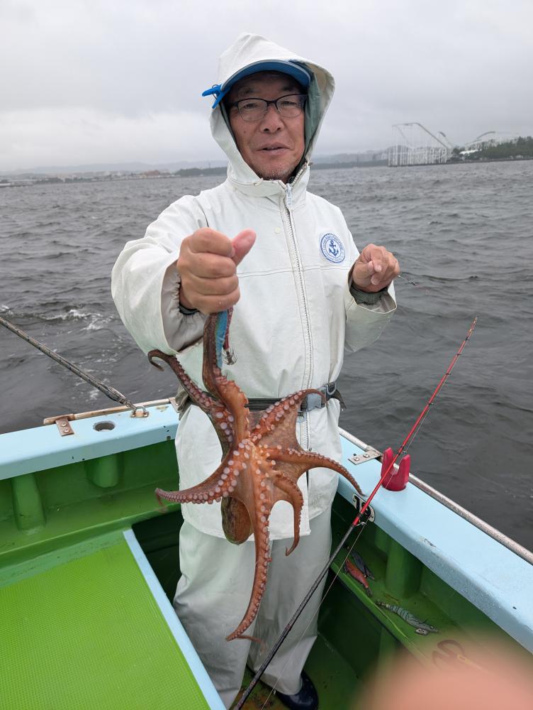 1788686662-2-4339-ck.jpg