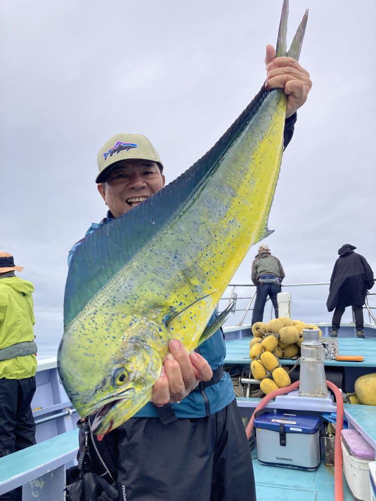 1789273527-10-2445.jpeg