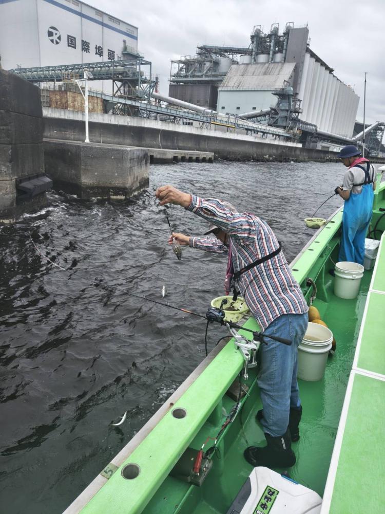 1789713661-3-9405-ck.jpeg