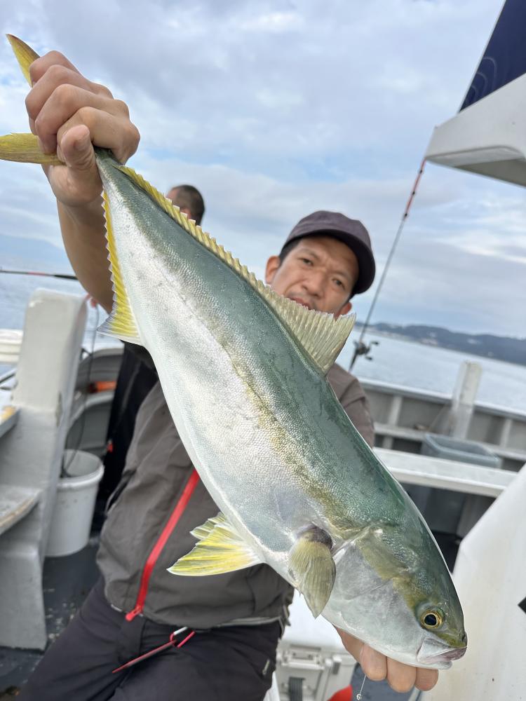 1790314409-2-3985-ck.jpeg