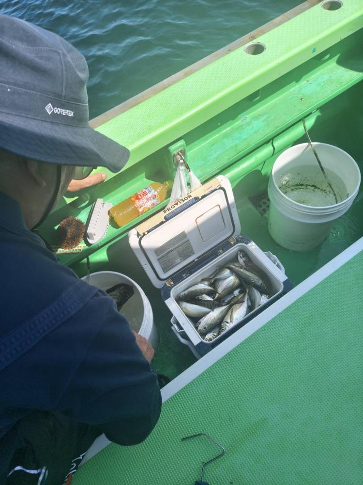 1790317177-2-9688-ck.jpeg