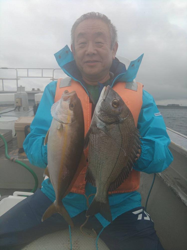 1790402559-8-958-ck.jpeg
