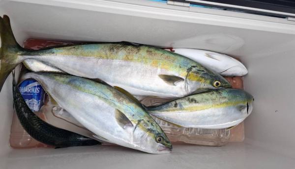 1790410320-12-1471-ck.jpg