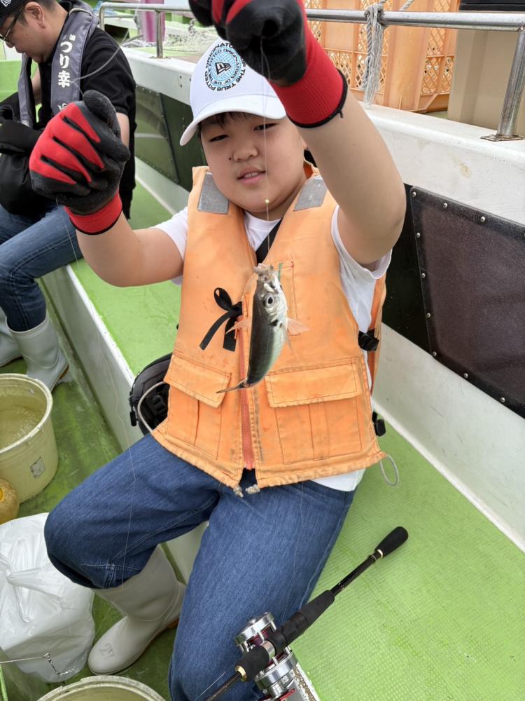 1791012545-6-9975.jpeg