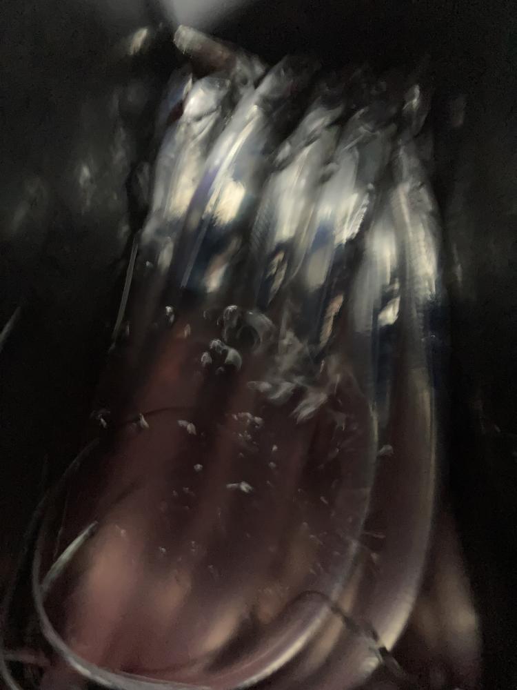1791779265-4-9945.jpeg