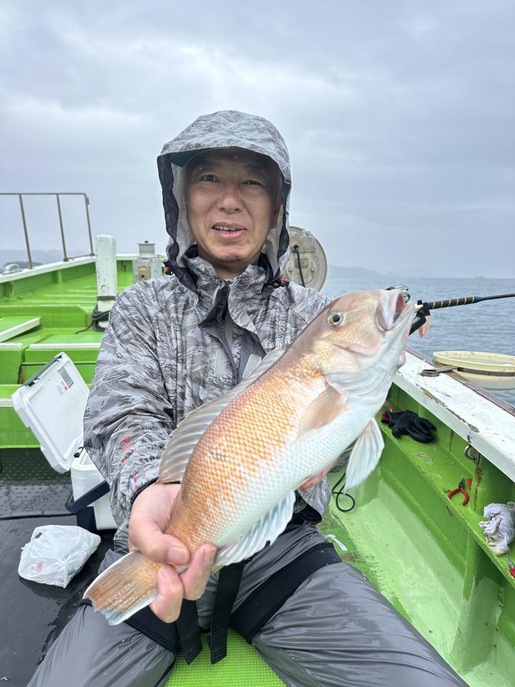1792826190-2-9799.jpeg