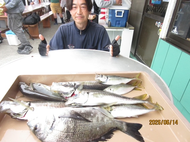PD1-1781415602-4-521.jpg