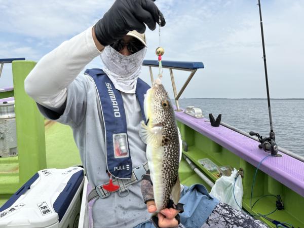 PD1-1785474602-2-278.jpg