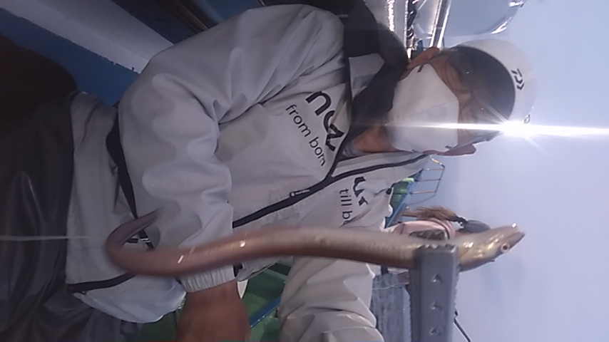 PD2-1778769961-3-494.jpg