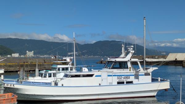 PD2-1790039762-3-243.jpg