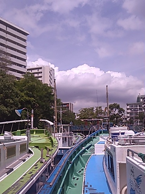 PD3-1779847021-2-495.jpg