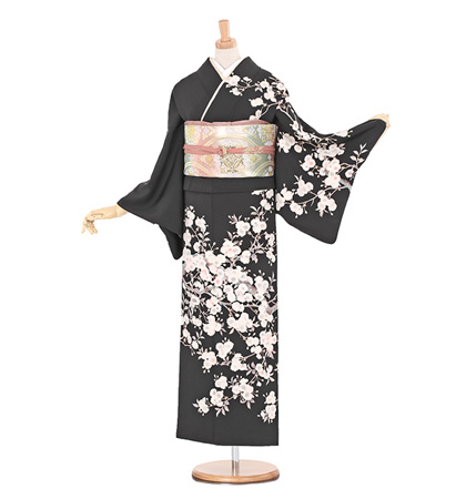 訪問着通販 商品一覧｜格安の着物販売・購入サイト【きもの365】