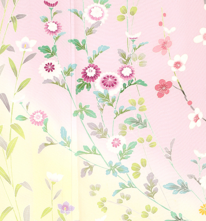 訪問着 No.AA-0749-Mサイズ_07