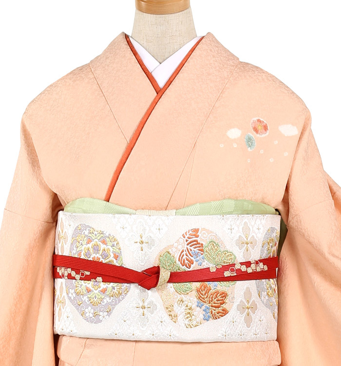 訪問着 No.AA-1328-Mサイズ_03