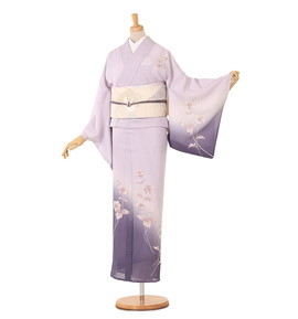 夏訪問着 No.AB-0403-Mサイズ