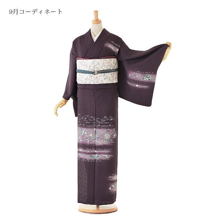 単衣(ひとえ)訪問着 No.AC-0317-Sサイズ_02
