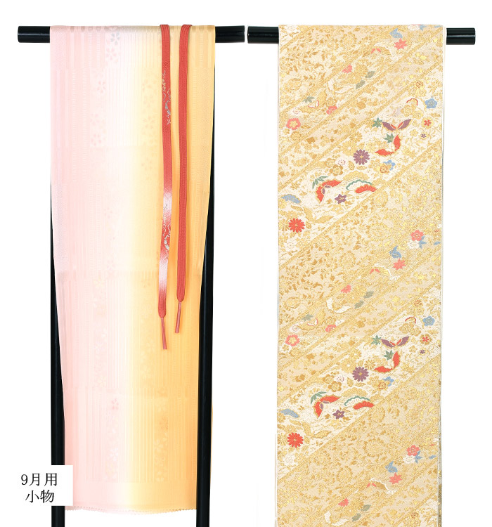 単衣(ひとえ)訪問着 No.AC-0807-Mサイズのレンタル｜きもの365