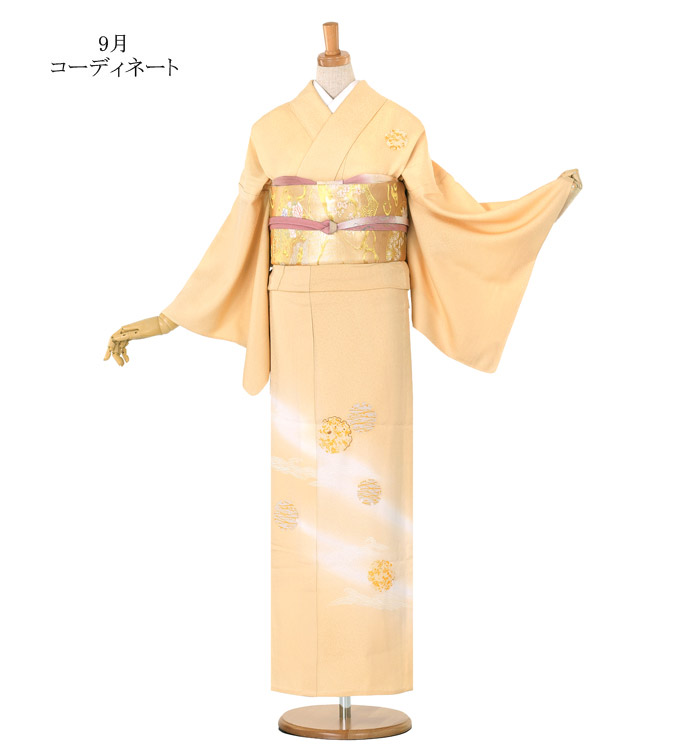単衣(ひとえ)訪問着 No.AC-0808-Lサイズ_02