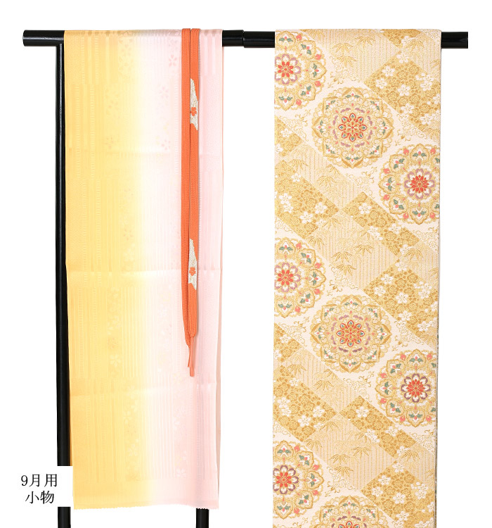 単衣(ひとえ)訪問着 No.AC-0810-Lサイズ_07