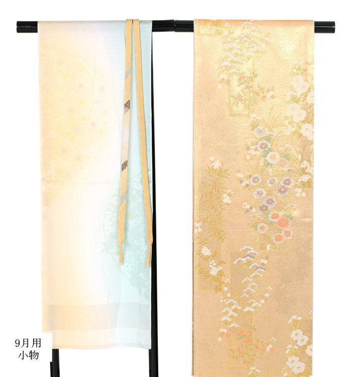 単衣(ひとえ)訪問着 No.AC-0811-Lサイズ_07