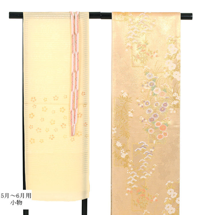 単衣(ひとえ)訪問着 No.AC-0811-Lサイズのレンタル｜きもの365