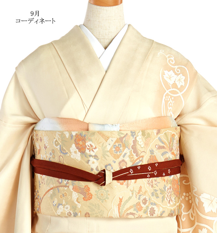 単衣(ひとえ)訪問着 No.AC-0813-Lサイズ_03