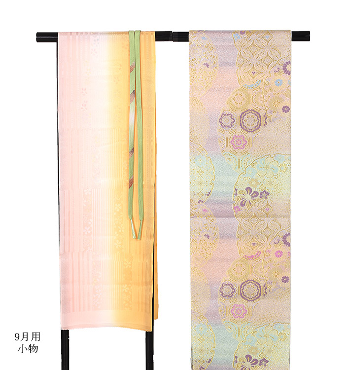 単衣(ひとえ)訪問着 No.AC-1076-Lサイズのレンタル｜きもの365