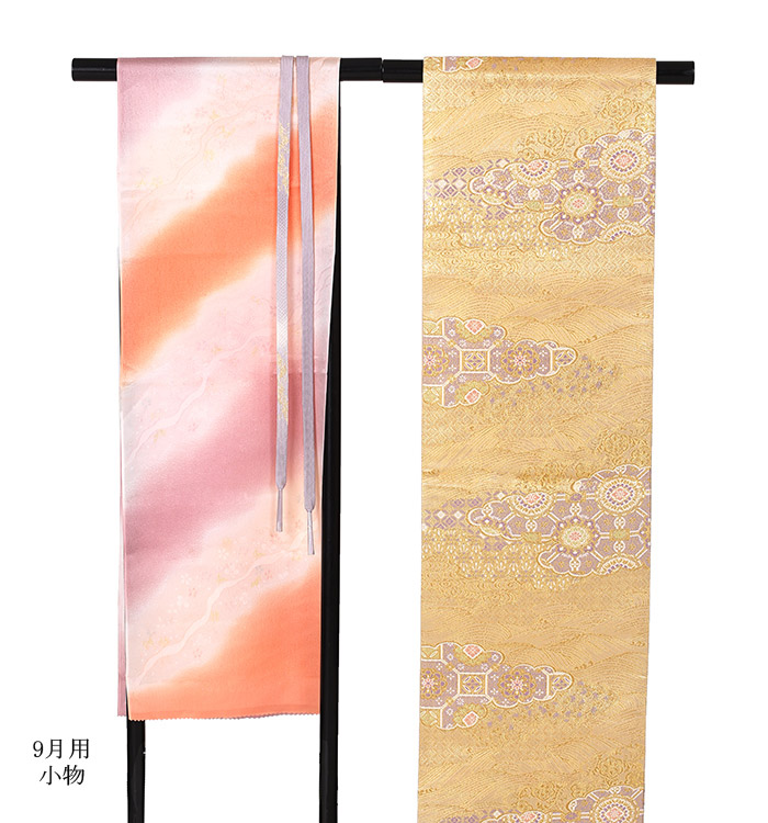 単衣(ひとえ)訪問着 No.AC-1079-Sサイズ_07