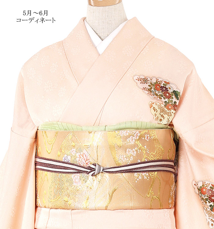 単衣(ひとえ)訪問着 No.AC-1082-Mサイズ_01