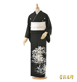 金彩の留袖で人気・おすすめ商品｜着物レンタル・通販【きもの365】